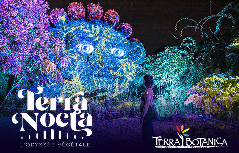 Terra Nocta 1